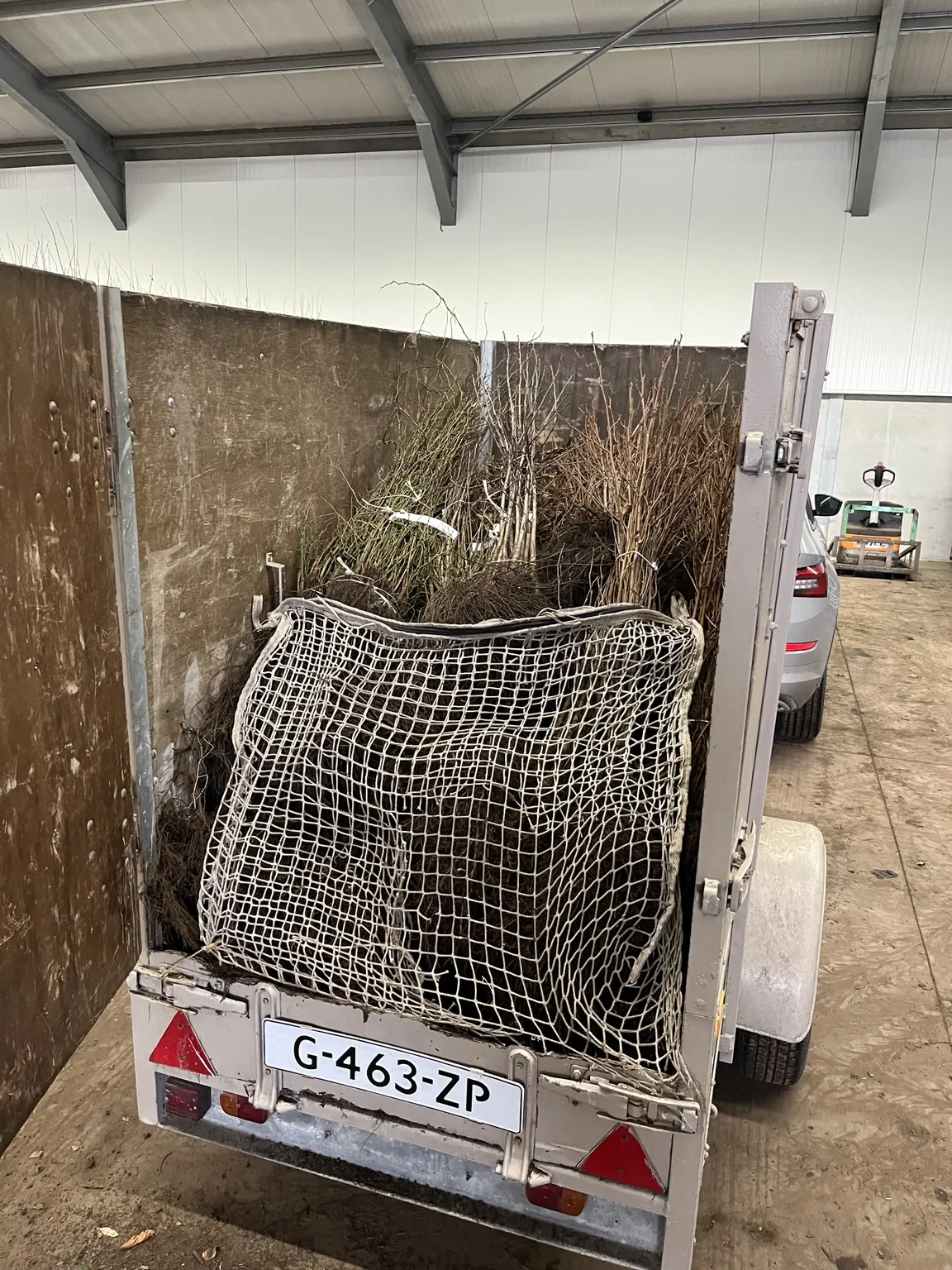Aanhanger gevuld met bundels wortelgoed voor de nieuwe houtsingels