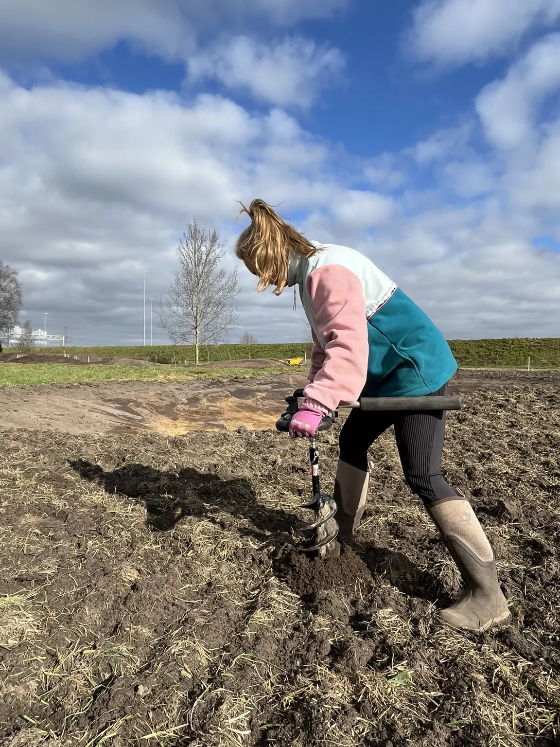 Bundels plantgoed per soort uitgestald in de grote loods