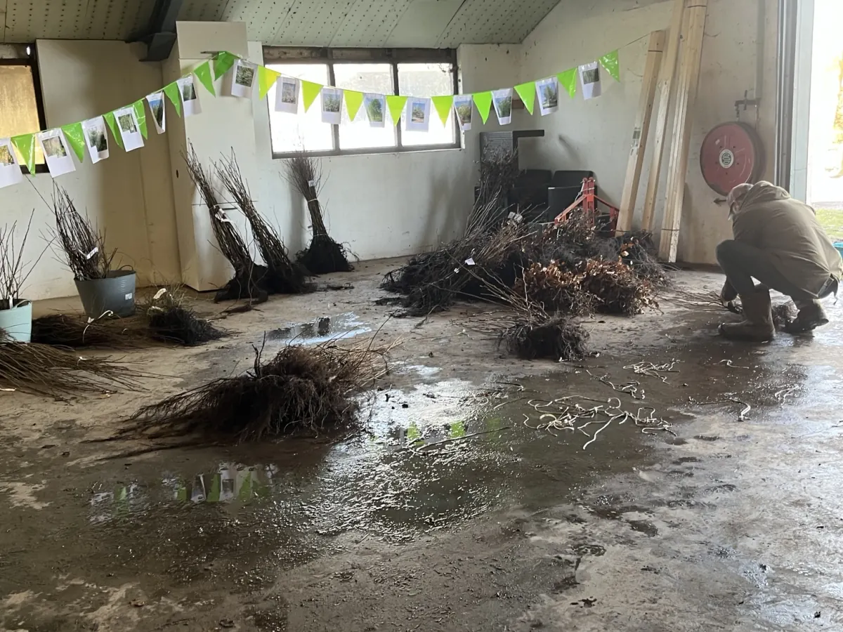 Kruiwagens met jonge bomen en struiken klaar voor de plantdag