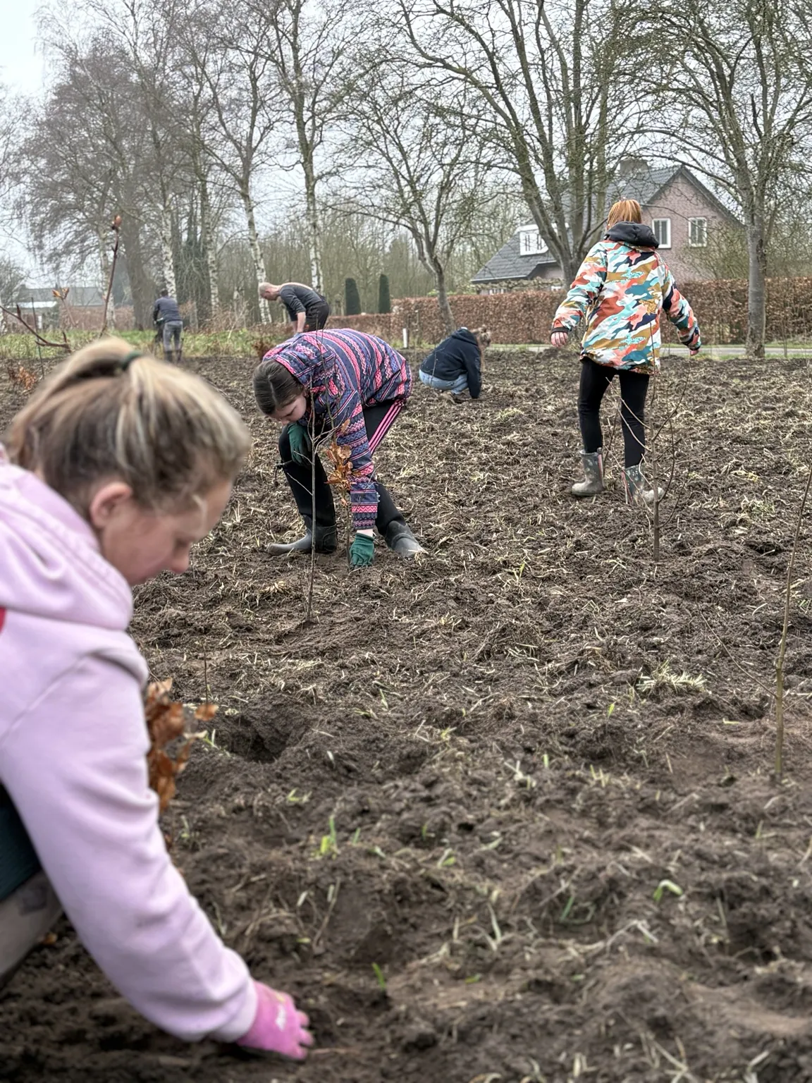 Familie en vrienden planten samen jonge bomen en struiken